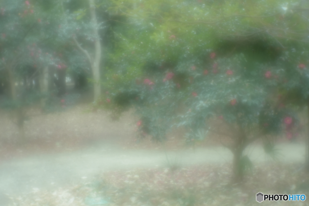 「山茶花」