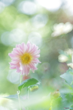 「過ぎた時の蜃気楼」
