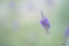 「沈黙」