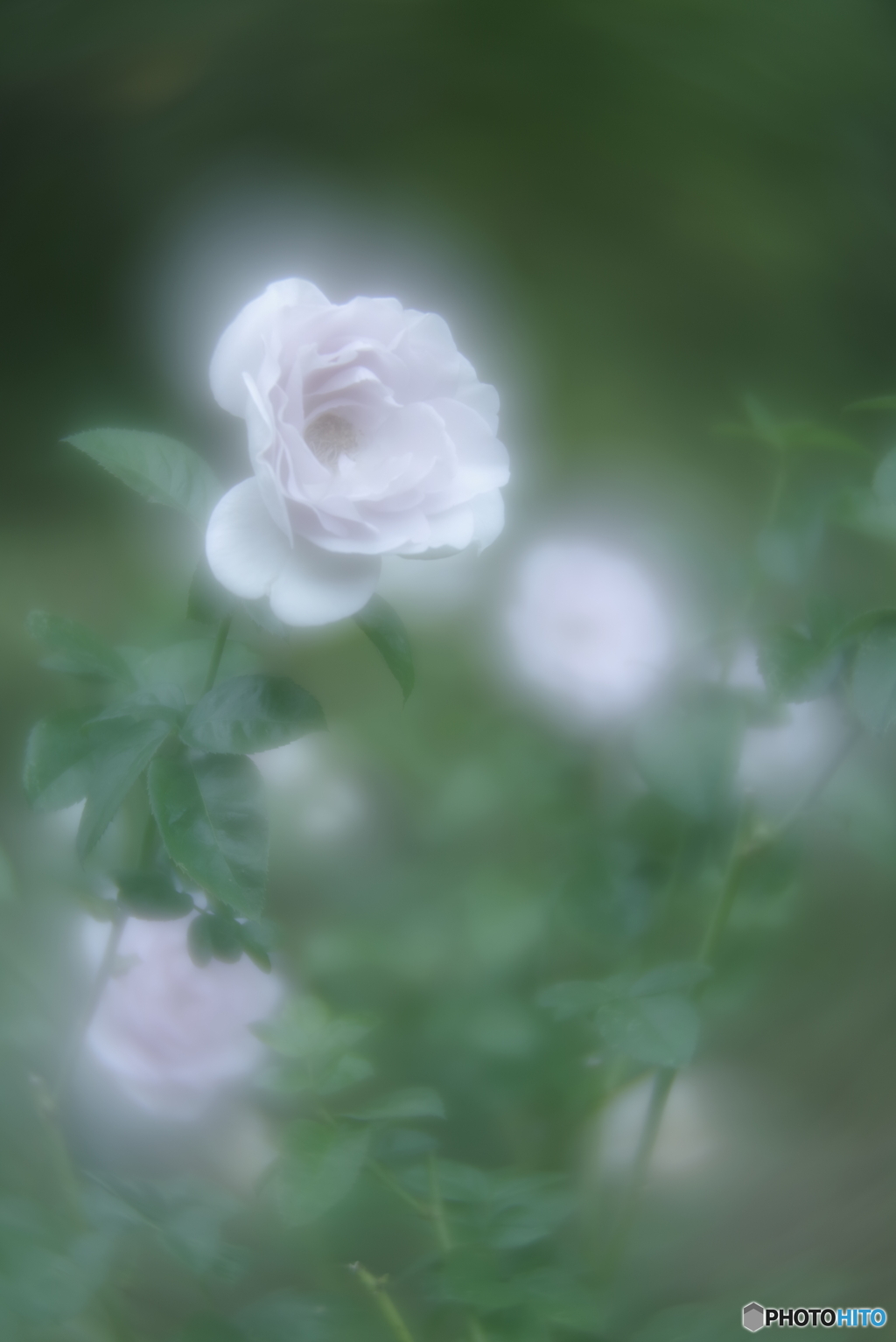 「Blue Bajou」