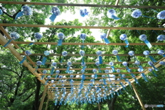 「7月の風」