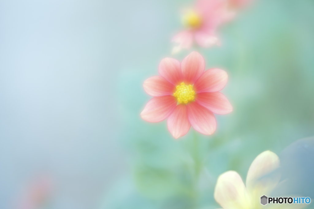 「ココだけの話」