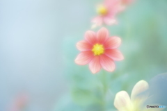 「ココだけの話」