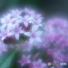 「Pentas」