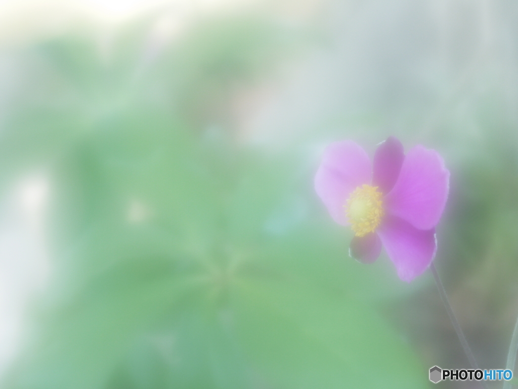 「忍耐」