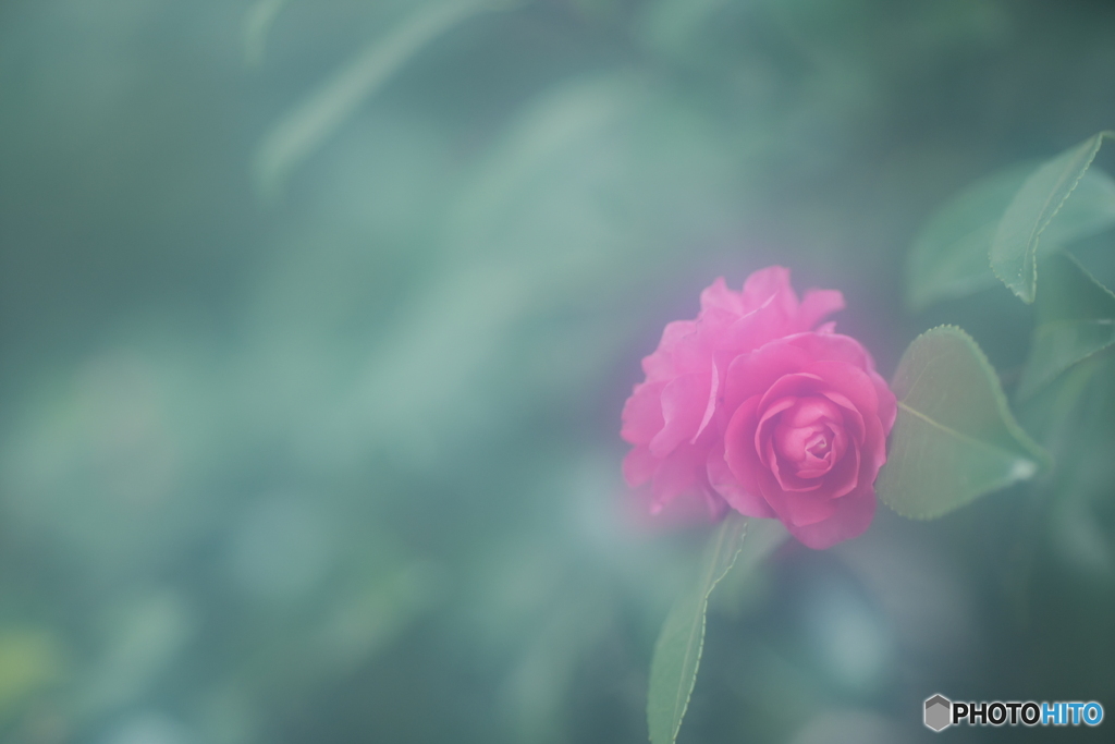 「何時もより・・・」