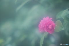 「何時もより・・・」