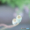 「ASTER」