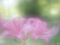 「My Special Day」