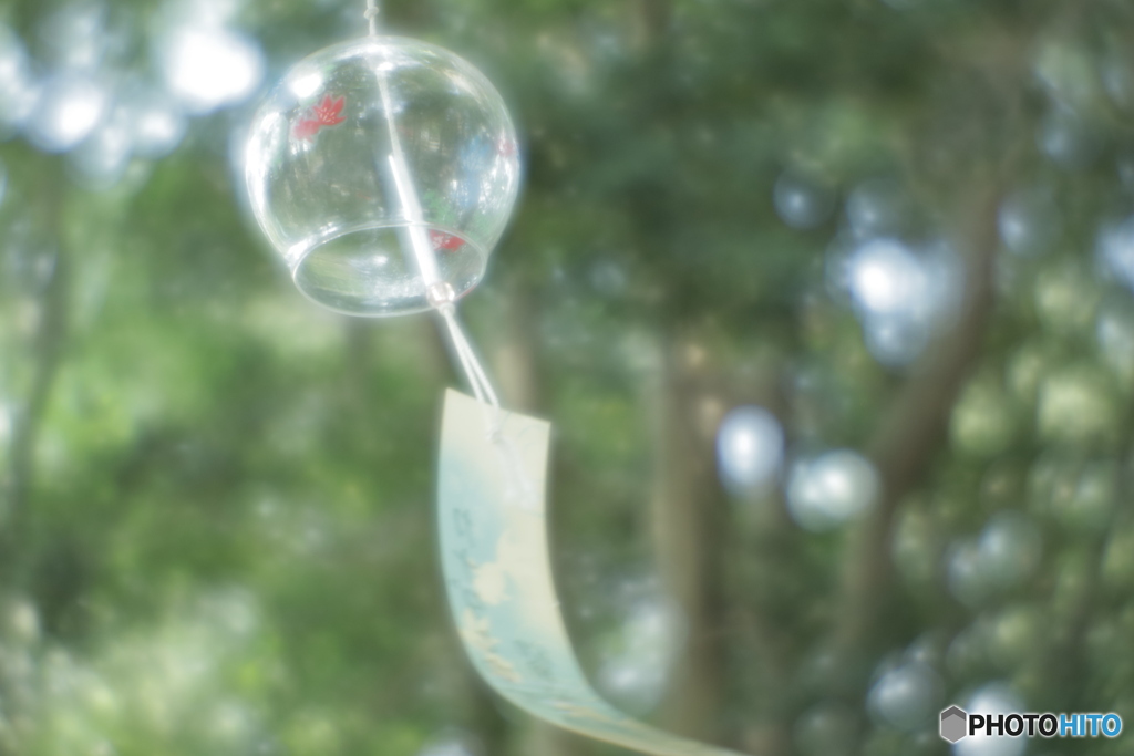 「境内を抜ける風」