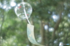 「境内を抜ける風」