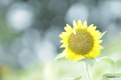 「霧が晴れた時・・・」