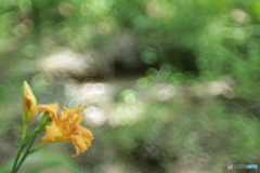 「・・・時には」
