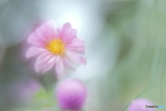 「威厳」