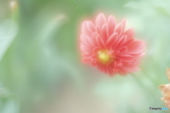 「合図」