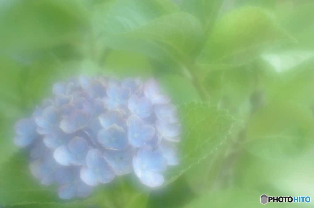 「軟焦点の世界」