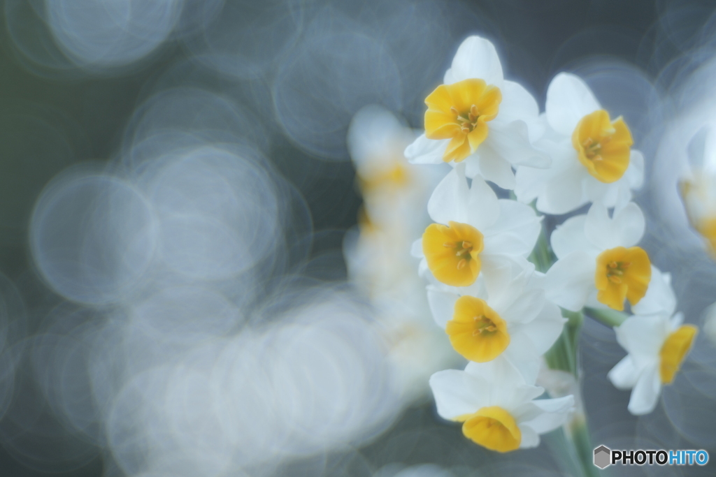 「押すなよ〜」