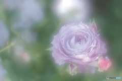 「誇り」