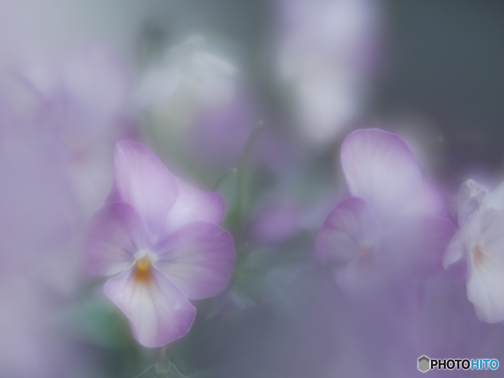 「何時もの・・・」