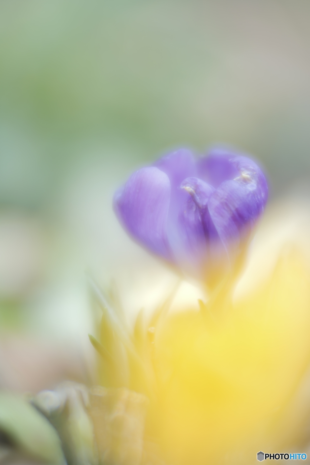 「愛の後悔」