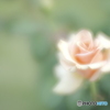 「Marilyn Monroe」