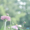 「感じたままに・・・」