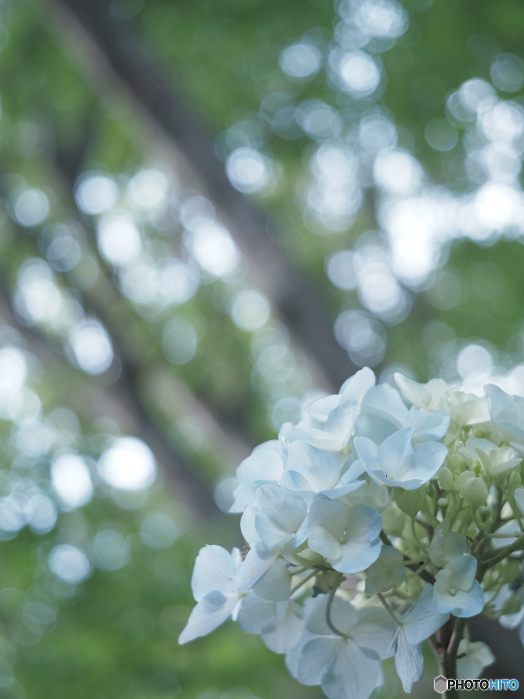 「Prologue」