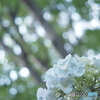 「Prologue」