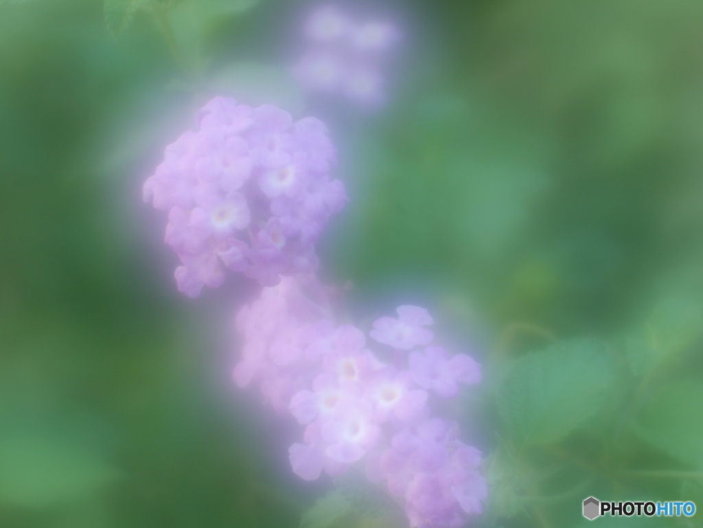「厳格」