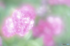 「薄らぐ愛」