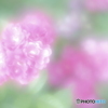 「薄らぐ愛」