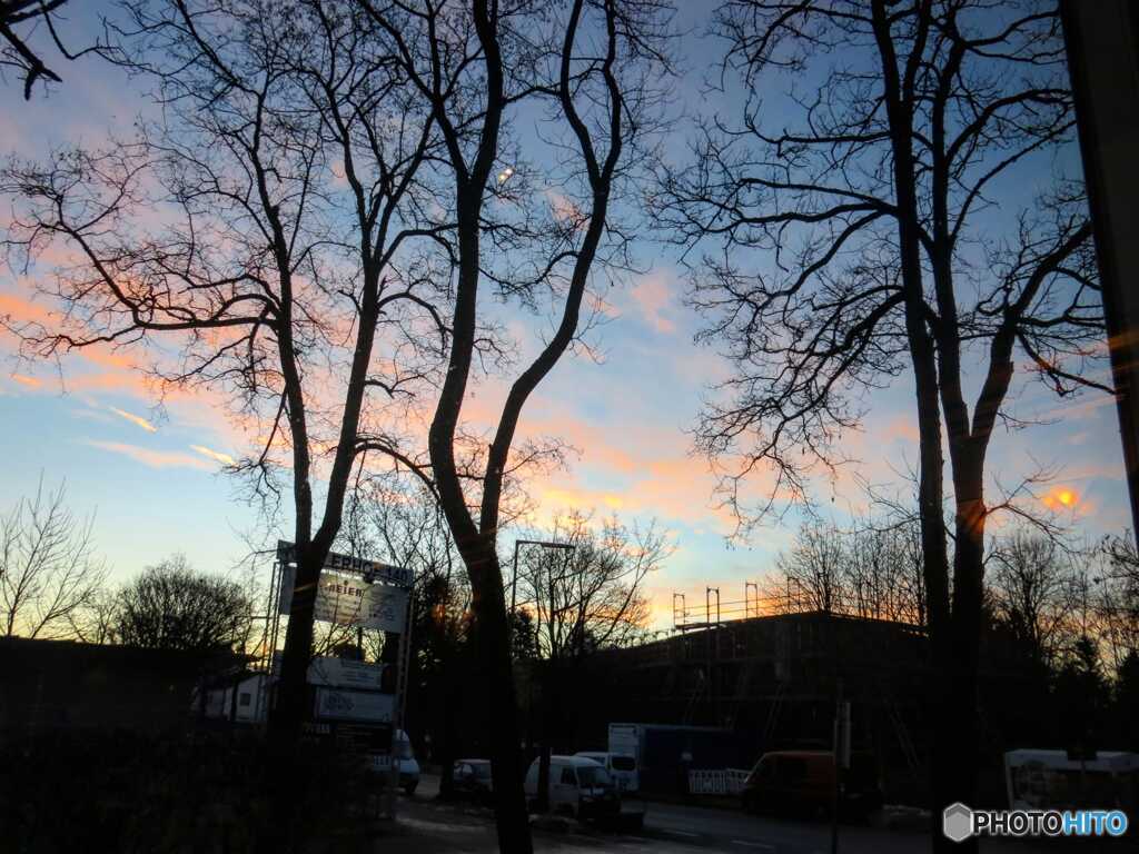 IMG_20210123_133131_030