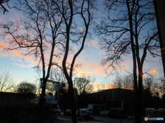 IMG_20210123_133131_030