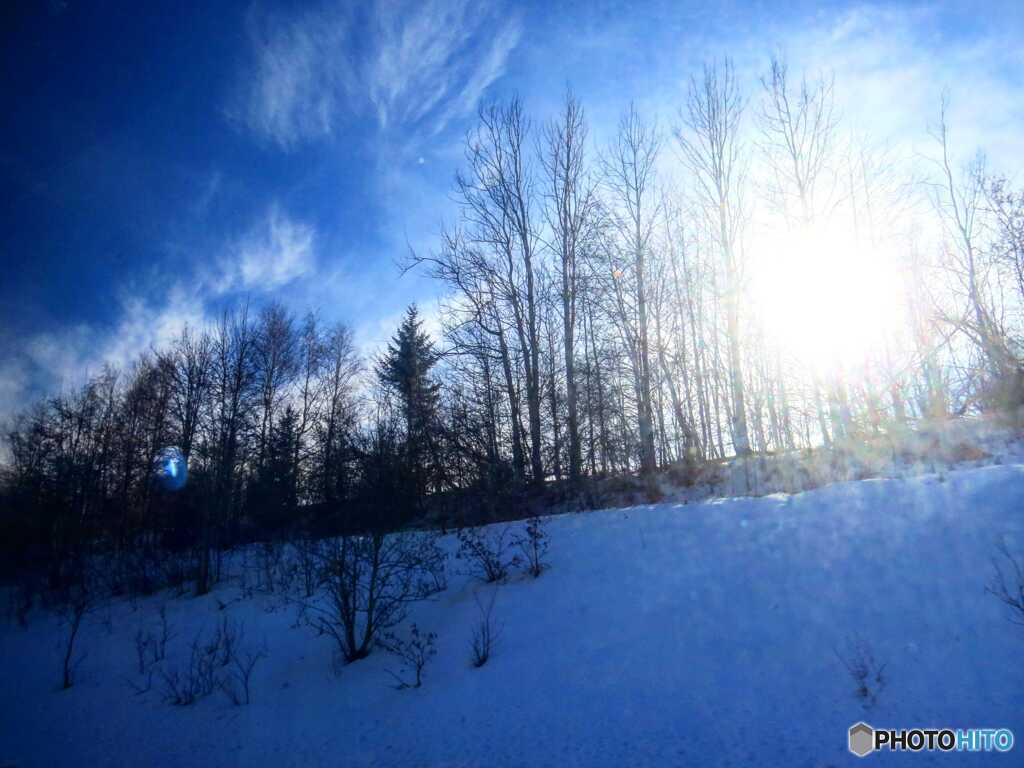 IMG_20210124_224413_506