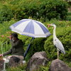 サギと釣り人。