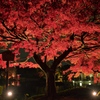 Autumn color scene 。