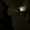 夏の夜 2