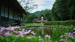 白川郷で。