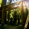 高野山で #2