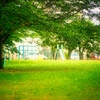 Hello...good bye 。