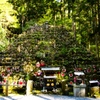 高野山で #7