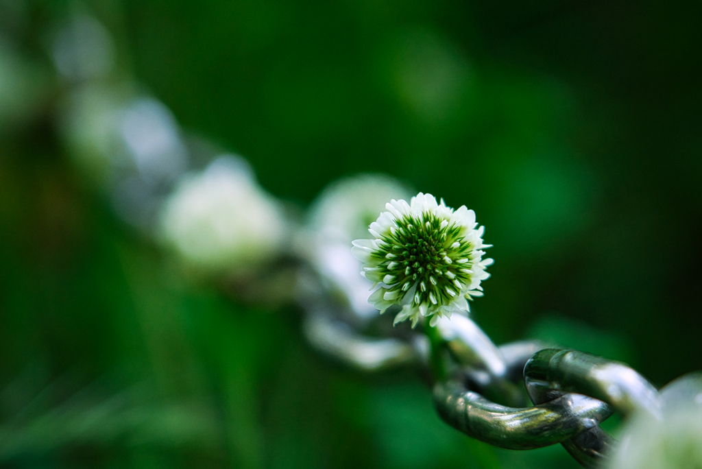 No title。