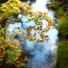 高野山で #3