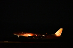 富士山静岡空港　FDA