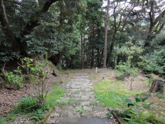 DSC00466
