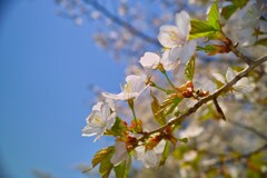 IMG_4746