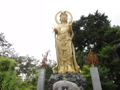DSC00483