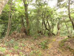 DSC00480