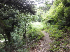 DSC00478