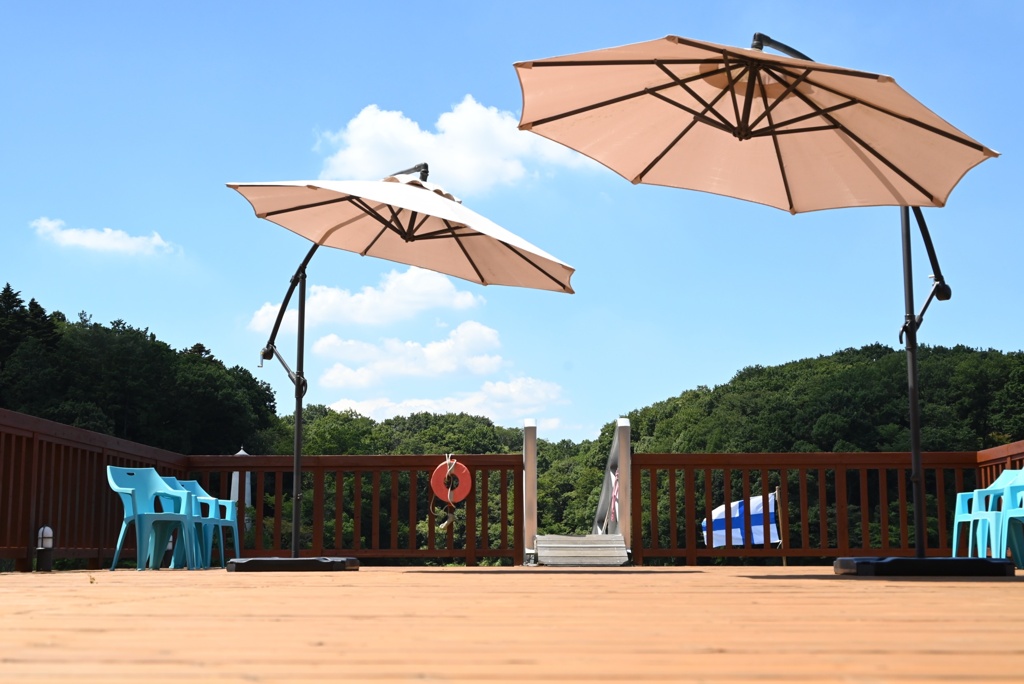 桟橋